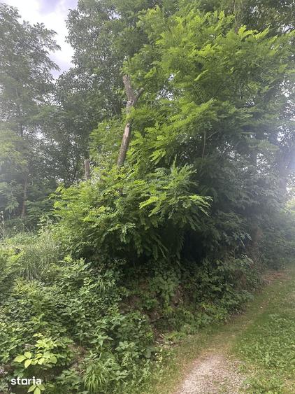 Teren de 600 mp, în Cornu