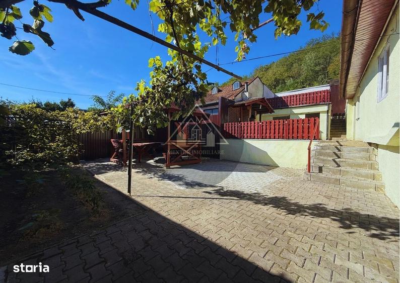 Apartament cu 3 camere în Sebeș