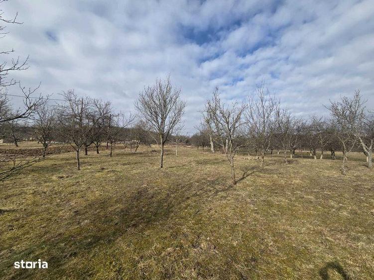Teren de 3800 mp, în Mirșid