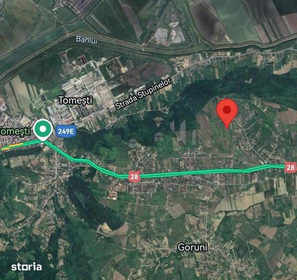 Intravilan - Tomesti - Teren si Cabana din Lemn - 6