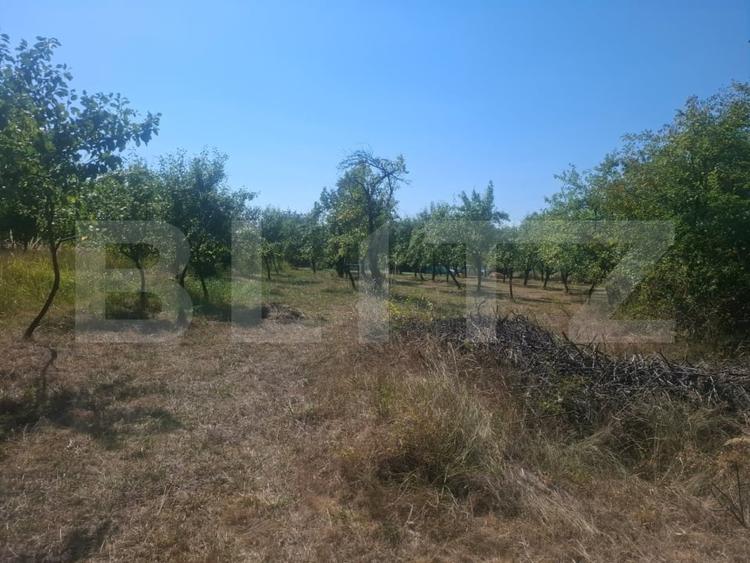 Teren Construcții intravilan de 2493 mp, în Cobiuța