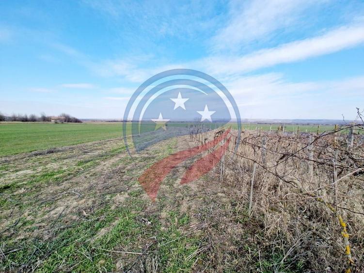 Casă cu 3 camere cu Teren 5473 Mp în Scăești