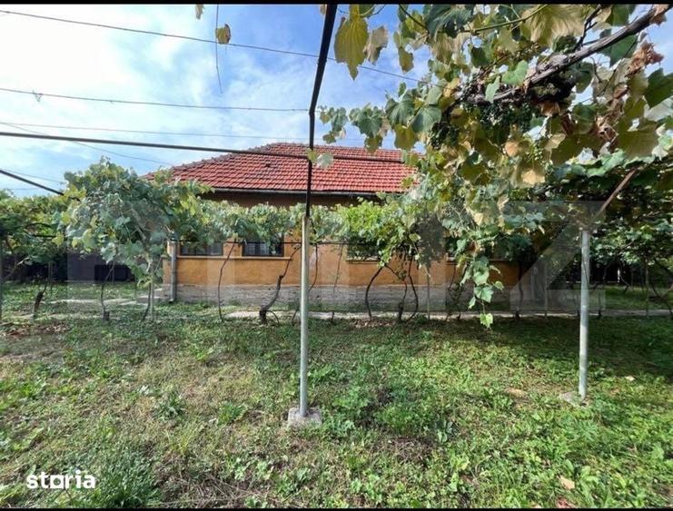 Casă cu 3 camere cu Teren 1773 Mp în Scoarța