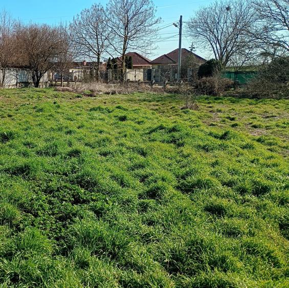 Teren Construcții intravilan de 400 mp, în Poiana