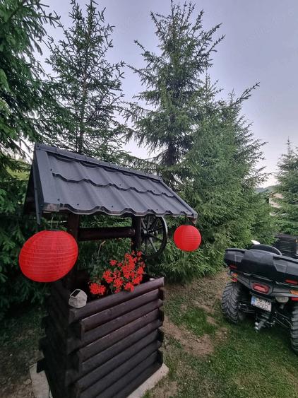 Casă cu 4 camere cu Teren 4800 Mp în Vama