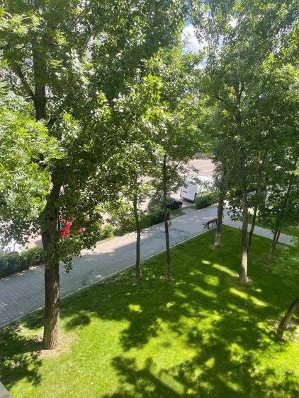 Apartament cu 2 camere în Alexandru cel Bun