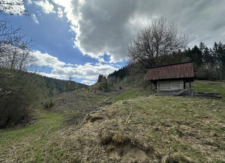 Teren de 14200 mp, în Ceahlău