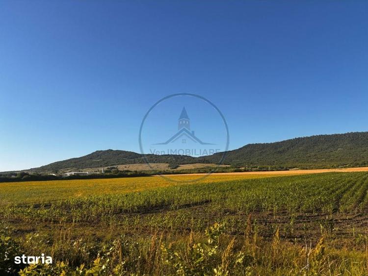Teren de 51000 mp, în Șieu