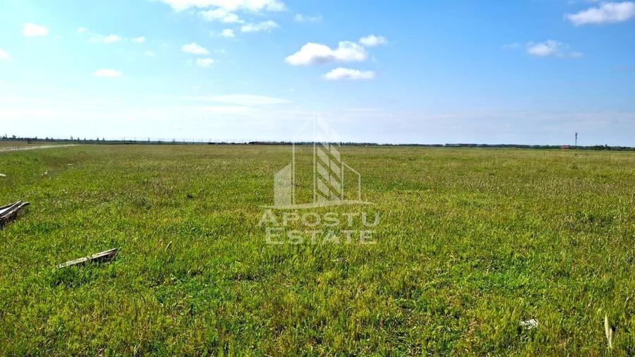 Teren Construcții intravilan de 31297 mp, în Vladimirescu