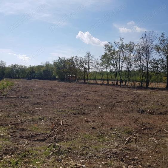 Teren de 3729 mp, în Polovragi