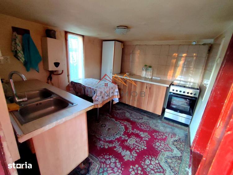 CASA DE VANZARE | 1.483 MP TEREN | ARICE?TII RAHTIVANI | 55.000 euro - 12