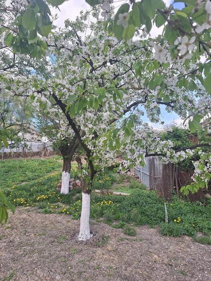 Casă cu Teren 450 Mp în Petros