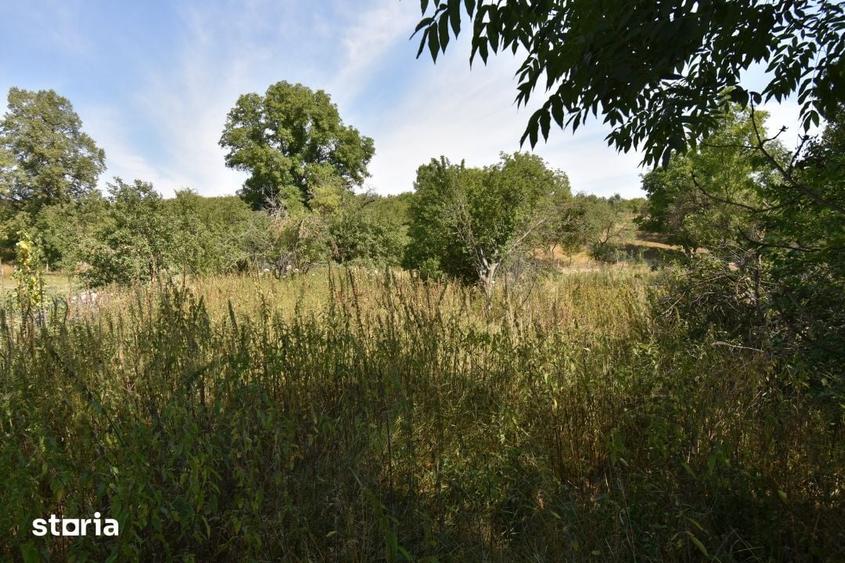 Casă cu 3 camere cu Teren 1500 Mp în Sava