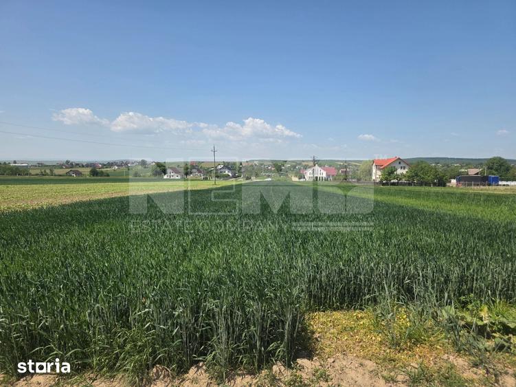 Teren de 2600 mp, în Mitocu Dragomirnei