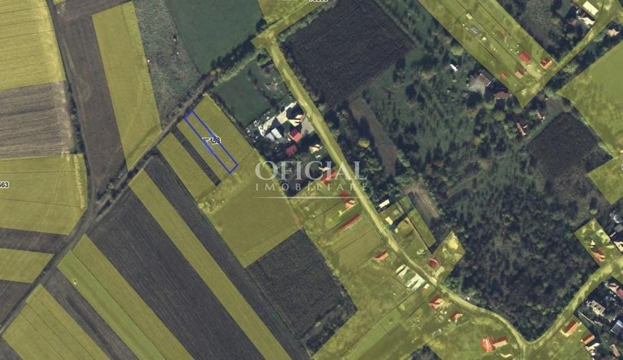 Teren agricol extravilan de 700 mp, în Pata