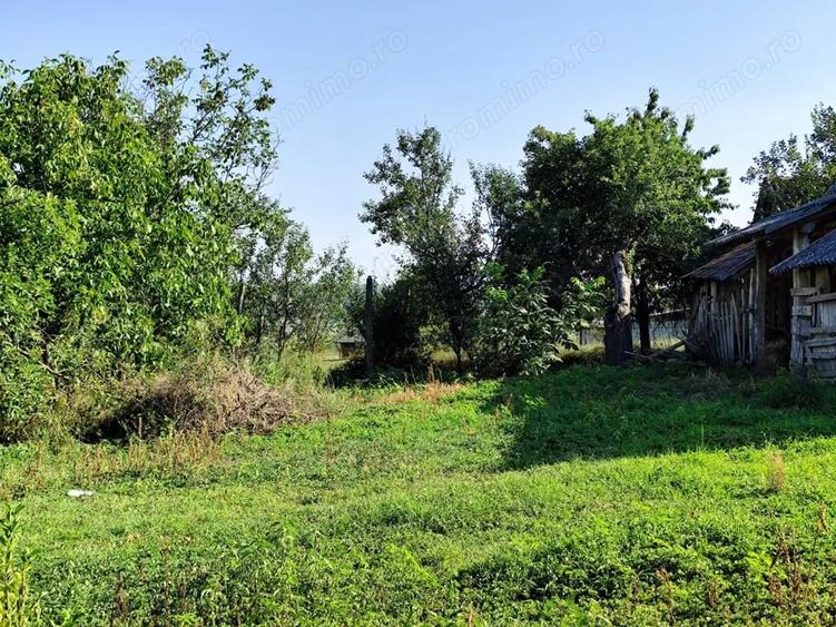 Casă cu 2 camere cu Teren 4600 Mp în Calea Mare