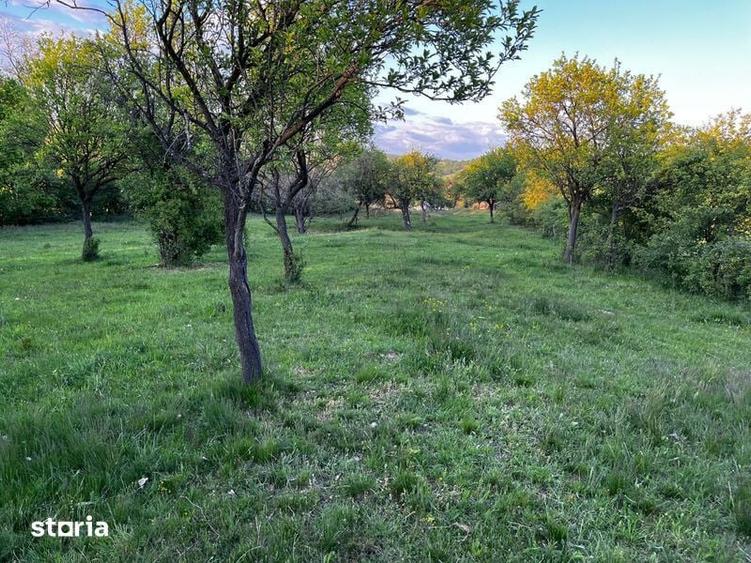 Vand teren extravilan Pianu de Sus - 2