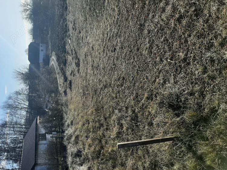 Teren de 3200 mp, în Petreni
