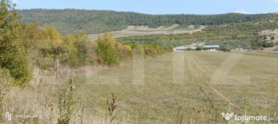 Teren 49 Ari, partial intravilan 13 ari, cu deschidere la DN - Bistrita (Bistrita-Nasaud) - 1