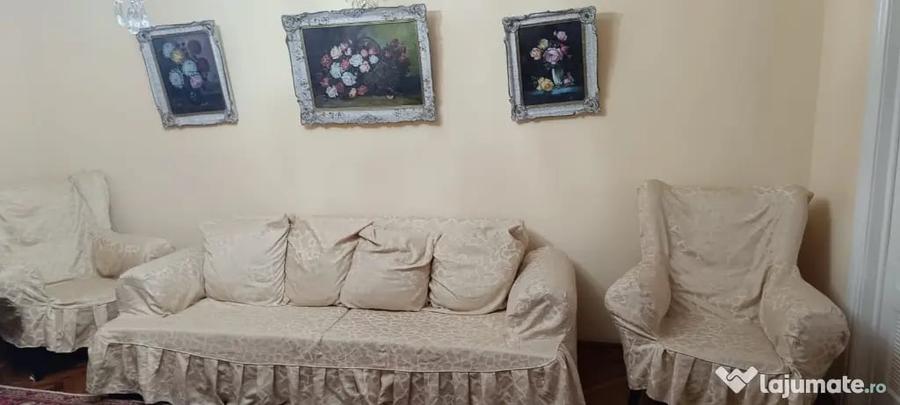 Casă cu 3 camere în Viile Noi