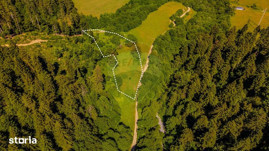Teren de 6000 mp, în Brădet