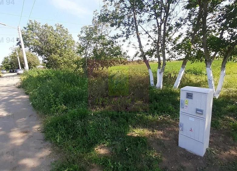 Teren de 5000 mp, în Copăceni