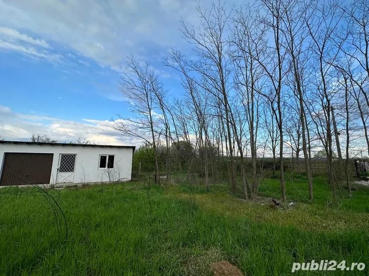 Teren de 1800 mp, în Dumitrești