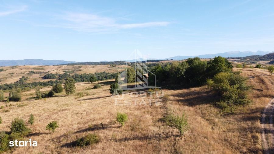 Teren de 50000 mp, în Teliucu Inferior