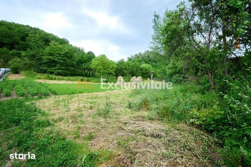 Casă cu 3 camere cu Teren 4696 Mp în Central