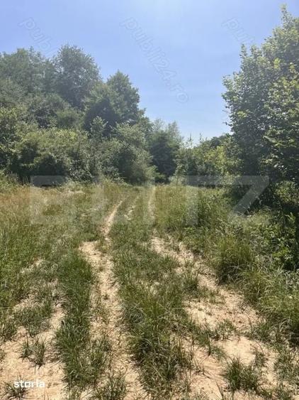 Teren de 2900 mp, în Central