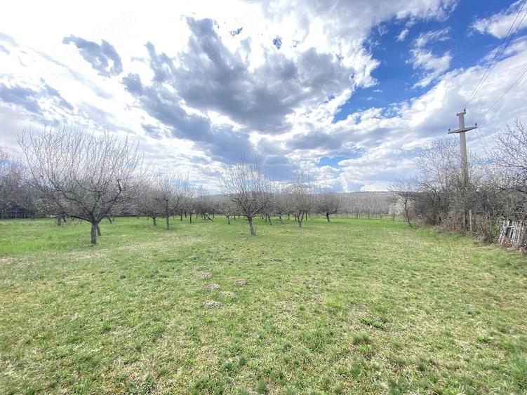 Teren de 7000 mp, în Berevoești