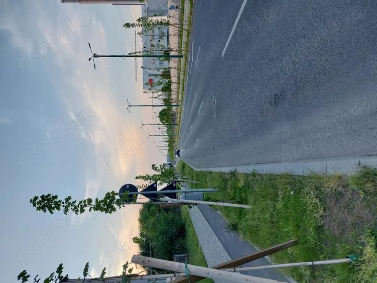 Garsonieră nedecomandată în Buziașului
