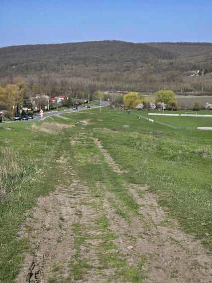 Teren de 7200 mp, în Crețești