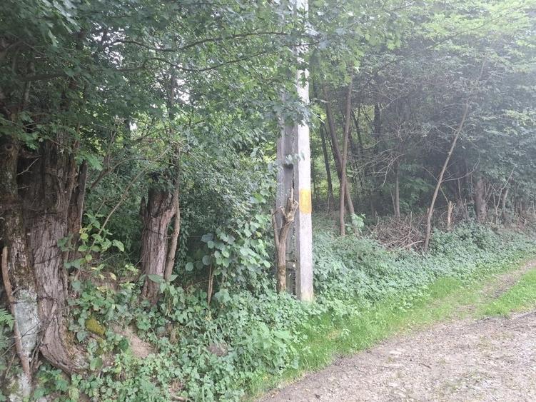 Spațiu comercial, în Valea
