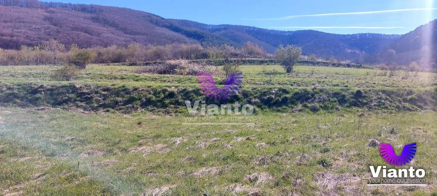 Teren agricol extravilan de 1500 mp, în Poplaca