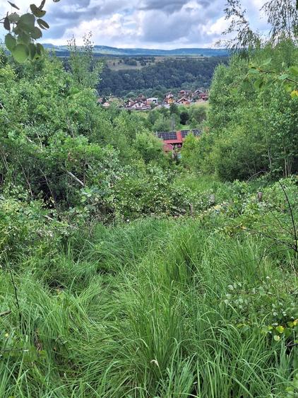 Teren Construcții intravilan de 12147 mp, în Sovata