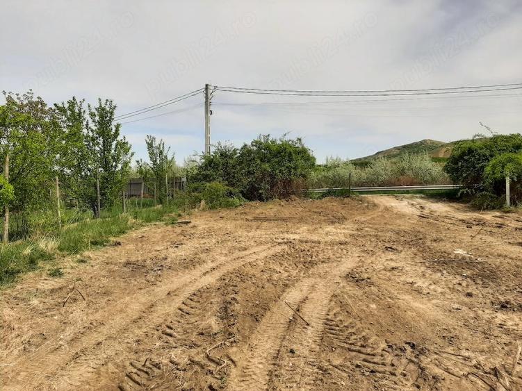Teren de 1480 mp, în Vlădiceni