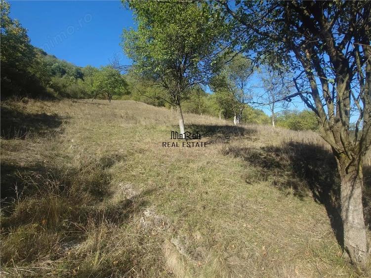 Teren de 1274 mp, în Criș