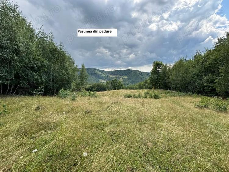 Teren de 35000 mp, în Parva