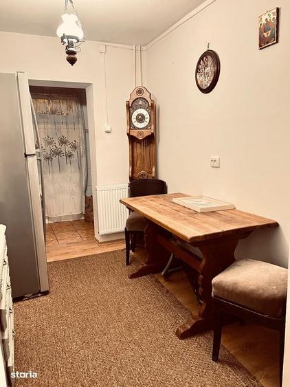 Apartament cu 2 camere în Paltiniș