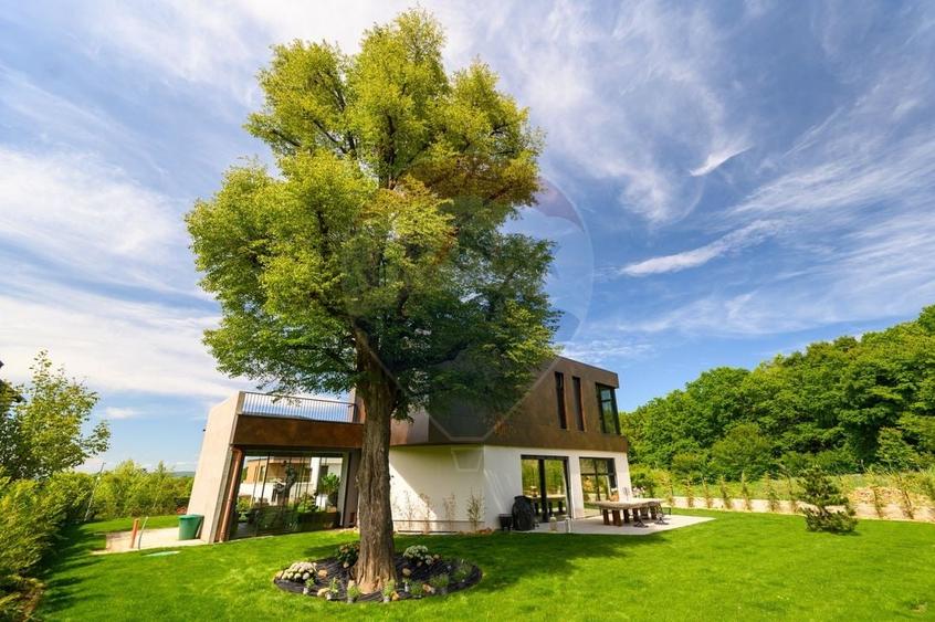 Casă individuală cu 7 camere cu Teren 1140 Mp în Făget