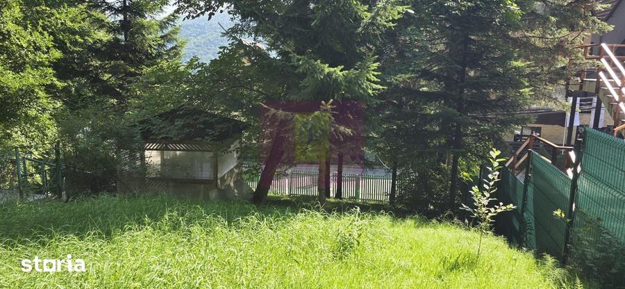 Teren de 979 mp, în Castelul Peleș