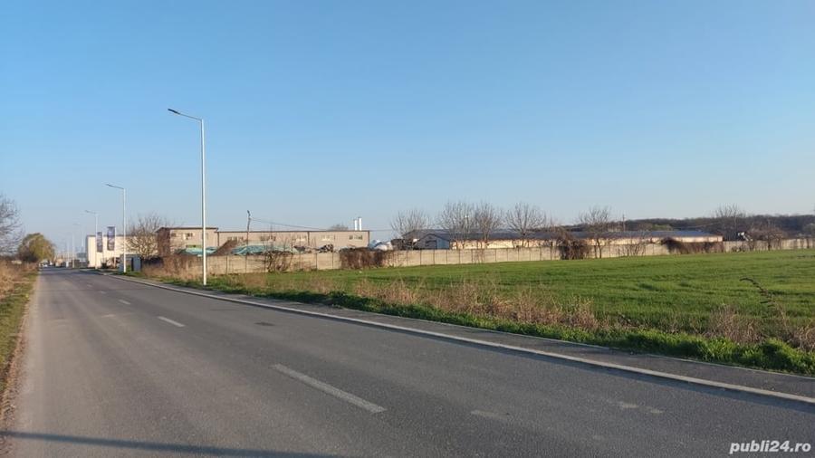 Teren de 5548 mp, în Jilava