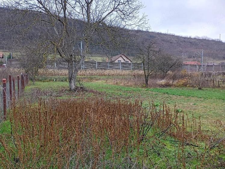Casă cu 3 camere cu Teren 1827 Mp în Micăsasa