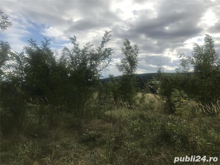Teren de 2200 mp, în Central