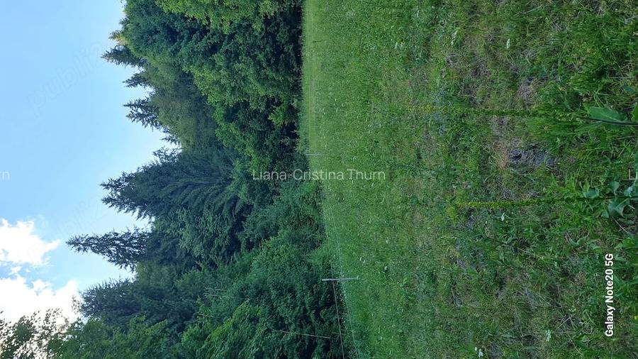 Teren intravilan + padure BONUS, de vanzare in inima muntilor Apuseni, comuna Scarisoara, jud.Alba