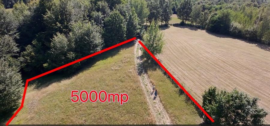 Teren agricol extravilan de 5000 mp, în Șinca Nouă