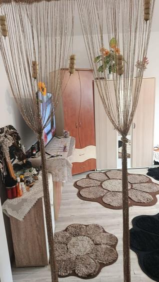 Apartament in Dobroiesti - 7
