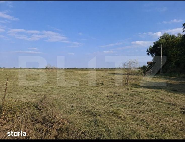 Teren de 2500 mp, în Ulmi