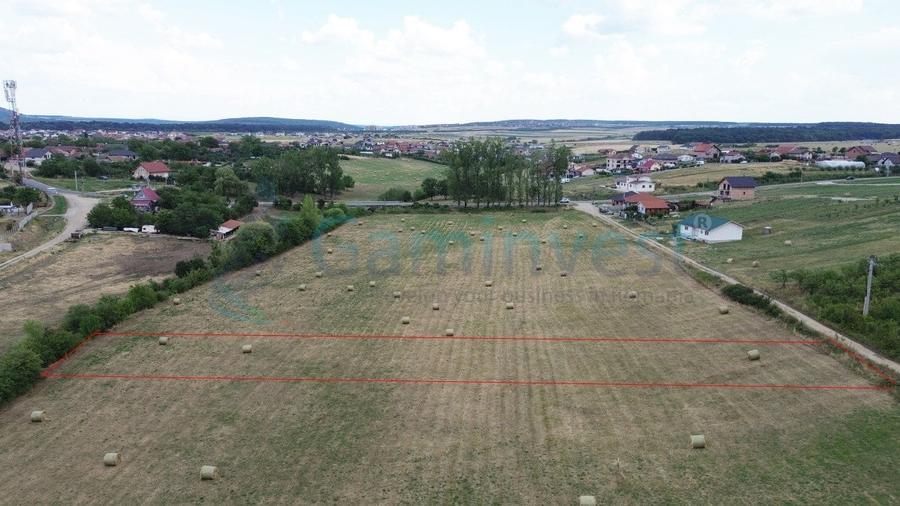 Teren Construcții intravilan de 1319 mp, în Cihei
